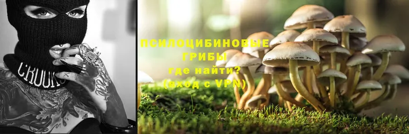 Галлюциногенные грибы MAGIC MUSHROOMS  купить наркотики цена  ссылка на мегу онион  Енисейск 